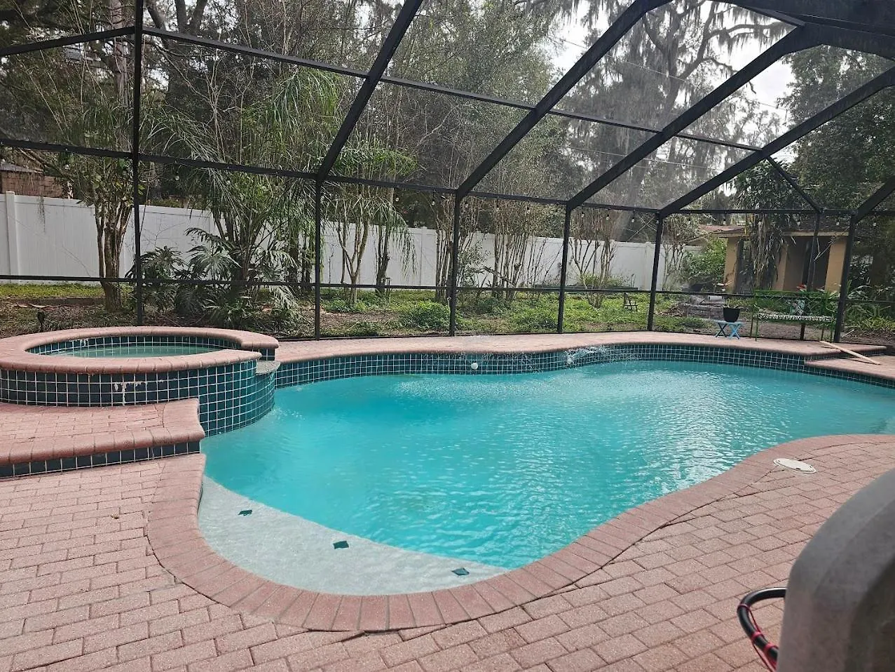 Jungle Oasis By Busch Gardens Usf And Amphitheater Apartment Tampa