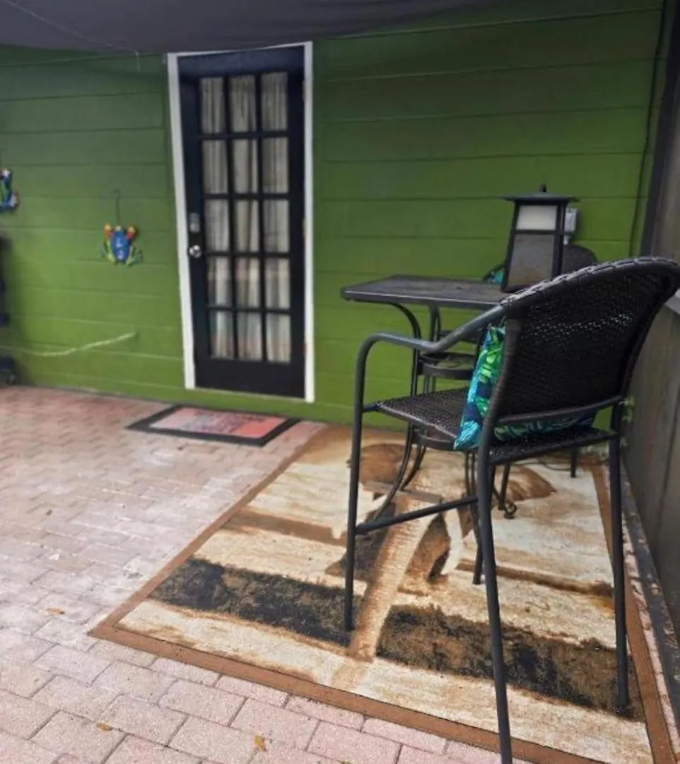 Apartment Ferienwohnung Jungle Oasis By Busch Gardens Usf And Amphitheater Tampa
