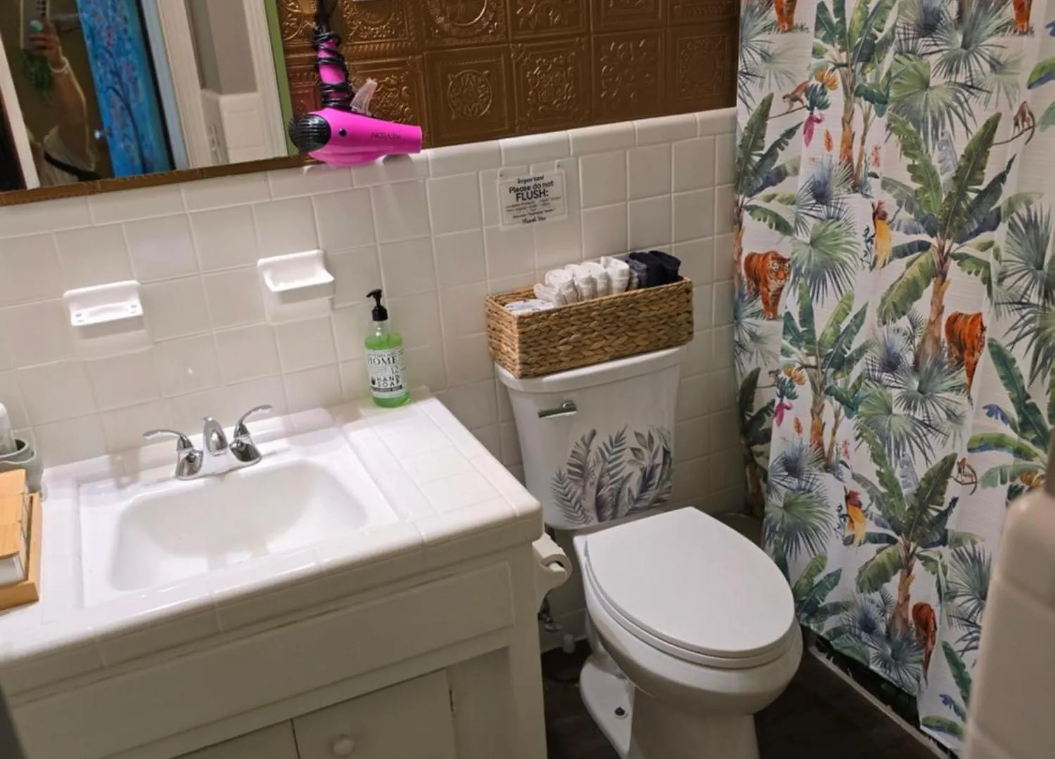Ferienwohnung Jungle Oasis By Busch Gardens Usf And Amphitheater Tampa 0*,
